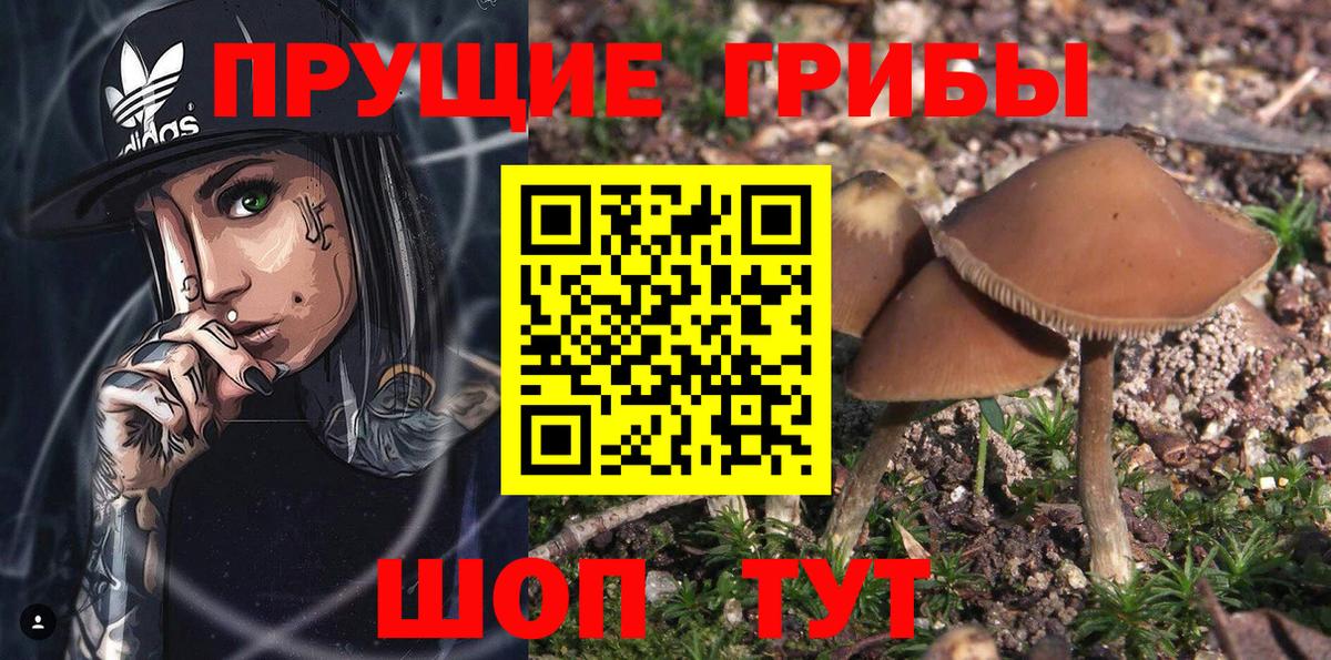 Галлюциногенные грибы мухоморы  дарнет шоп  Галлюциногенные грибы Psilocybe  Южно-Сахалинск  Вход с VPN 