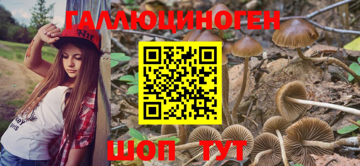 Псилоцибиновые грибы GOLDEN TEACHER Южно-Сахалинск